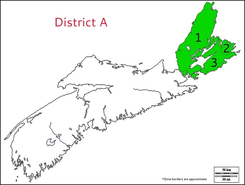 district a