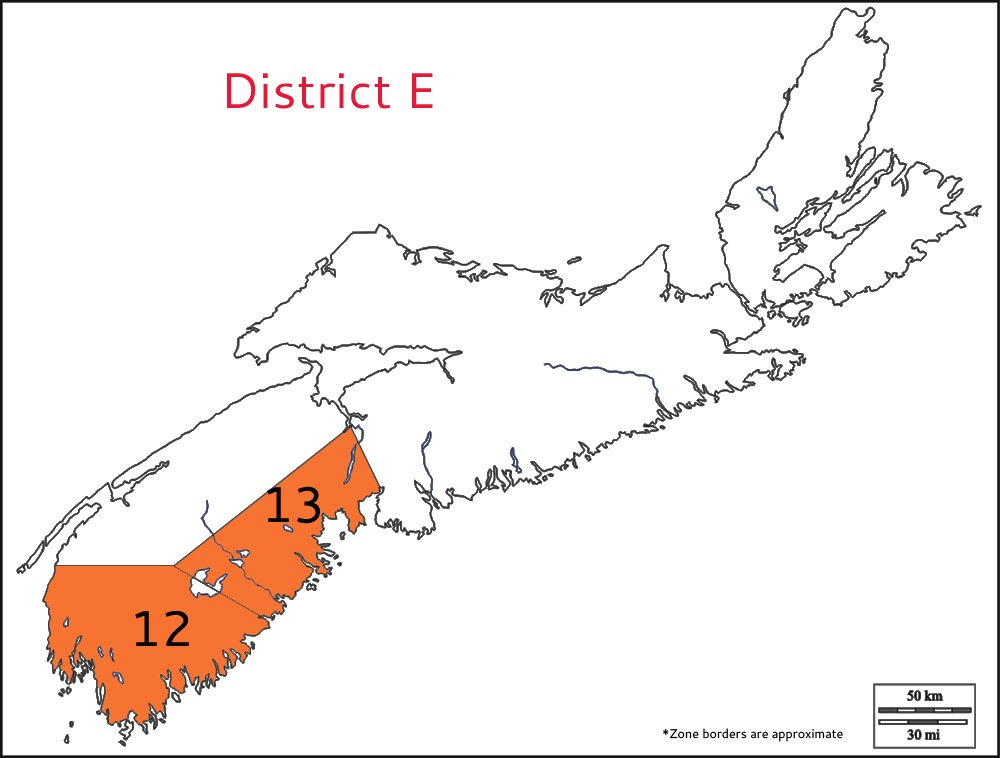district e